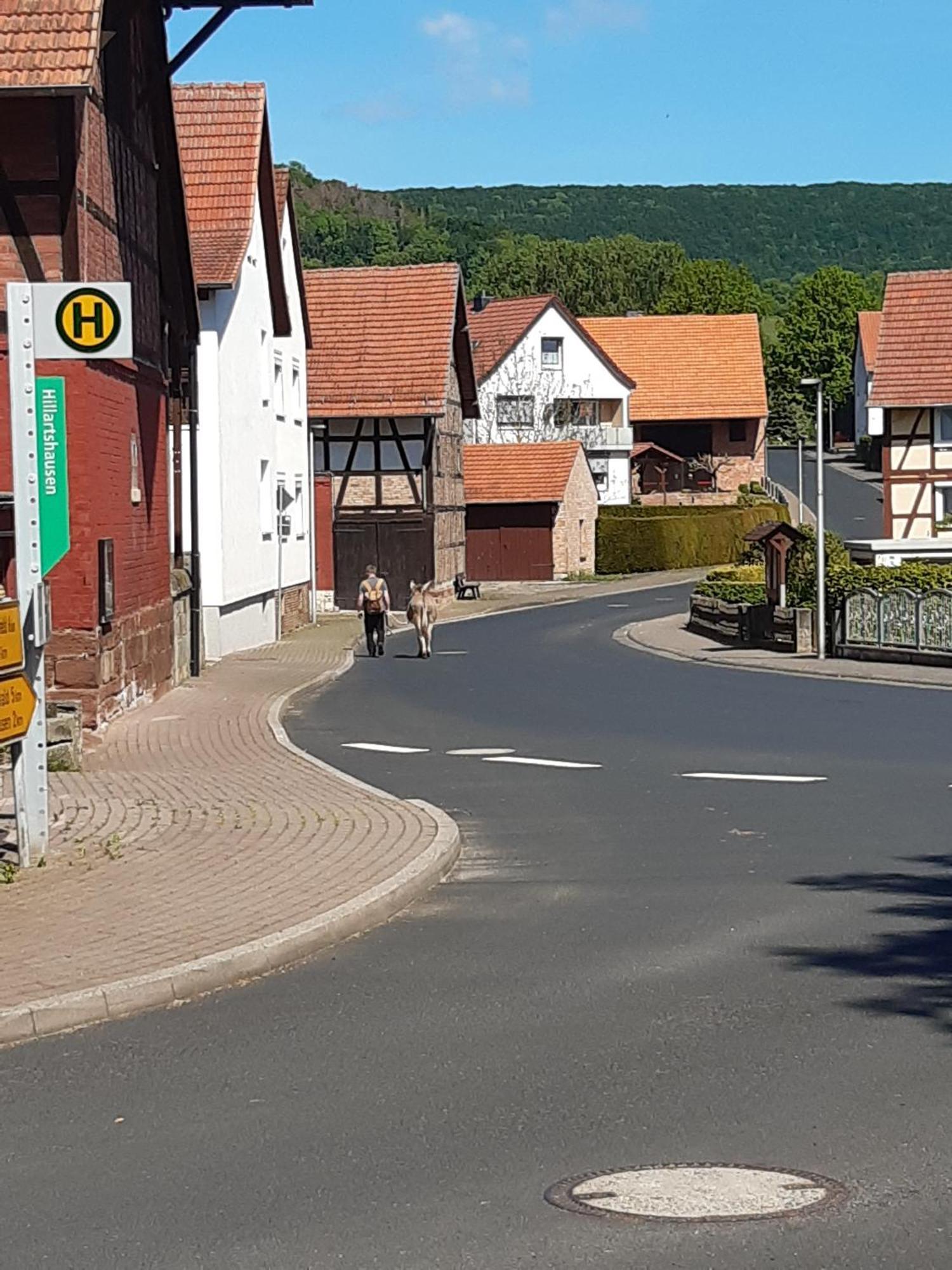 Ferienwohnung, 30 Qm Friedewald  Exterior foto